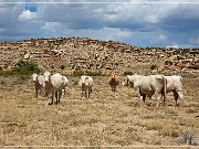 Arroyo Piedra Lumbre