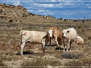 arroyo_piedra_lumbre07_2008_01