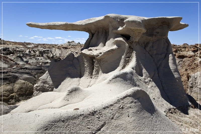 bisti2010_22.jpg