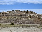 Ceja Pelon Mesa