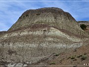 Ceja Pelon Mesa