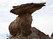 Ceja Pelon Mesa