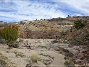 Ceja Pelon Mesa