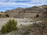 Ceja Pelon Mesa