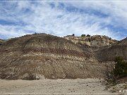 Ceja Pelon Mesa