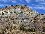 Ceja Pelon Mesa