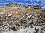 Ceja Pelon Mesa