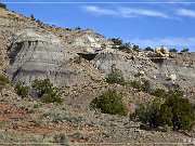 Ceja Pelon Mesa