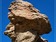 High Desert Trail