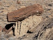 High Desert Trail