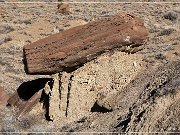 high_desert_trail_17