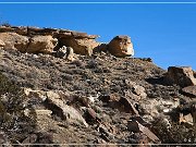 High Desert Trail