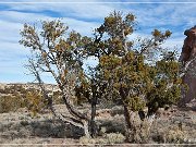 Kit Carson Cave