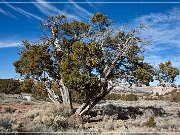 Kit Carson Cave
