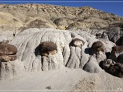 Lybrook Badlands, Lybrook, NM 2009