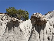 Lybrook Badlands, Lybrook, NM 2009