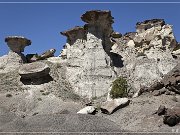 Lybrook Badlands, Lybrook, NM 2010
