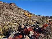 Orilla Verde Rec Area