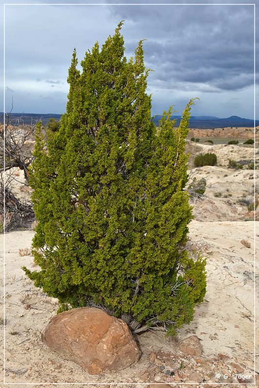 Rio Puerco Rock Formations