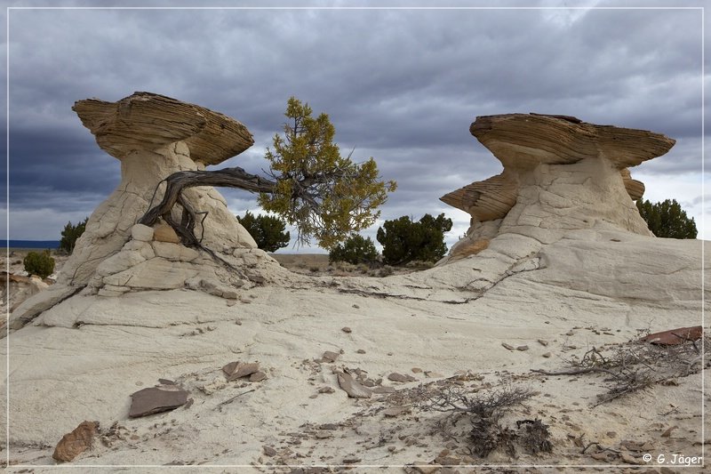 Rio Puerco Rock Formations