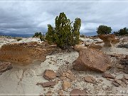 Rio Puerco Rock Formations