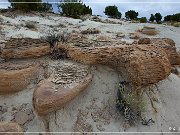 Rio Puerco Rock Formations