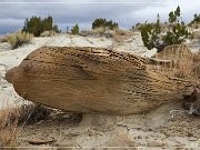 Rio Puerco Rock Formations