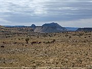 Rio Puerco Valley