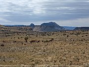 rio_puerco_valley_09