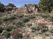 San Jose Badlands, Cuba, NM