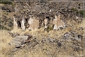 dripping_springs_34