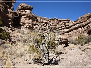 San Lorenzo Canyon