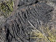 Valley of Fires Recreation Area
