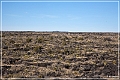 valley_of_fires_rec_area_03d