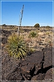 valley_of_fires_rec_area_05b