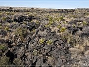 Valley of Fires Recreation Area