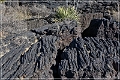 valley_of_fires_rec_area_11