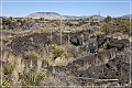 valley_of_fires_rec_area_17