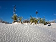 White Sands NP