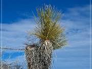 White Sands NP