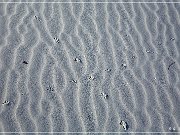 White Sands NP