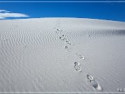 White Sands NP