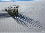 White Sands NP
