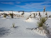 White Sands NP