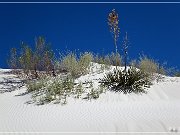 White Sands NP