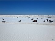 White Sands NP