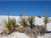 White Sands NP