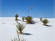 White Sands NP