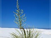 White Sands NP