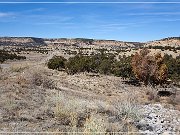 Borrego Pass Rd